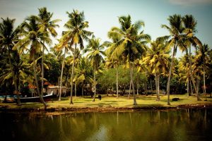 When to Kerala Lottery: Complete 2026 Guide for Indian Players